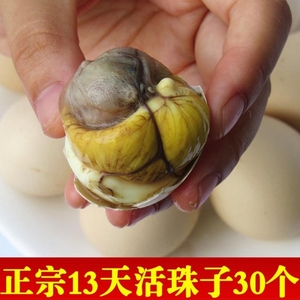 30枚活珠子新鲜13天鸡胚子毛蛋活珠子毛鸡蛋非南京活珠子咸鸭蛋生