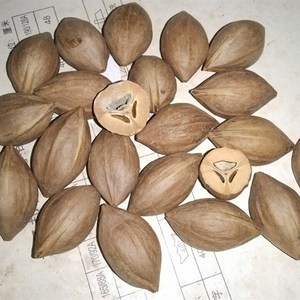 网红3花橄榄核雕刻原n料油核三花2.0大壁厚红肉弥勒手串双面18罗