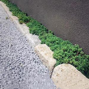 收边石花坛石侧石花园石材围边庭院地面长条石小方形围石阳台.