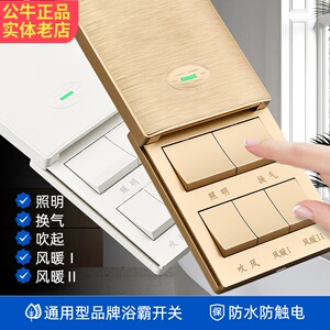 适用飞雕飞利浦樱花浴霸开关五开卫生间专用滑盖五合一防水风暖面