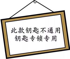 左右通用虎牌保险柜锁芯配件应急锁强开钥匙开备用钥匙副锁梅花锁