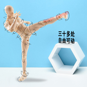 网红抖音关节可动素体男女动漫人漫画人体模型手办美术绘画人偶