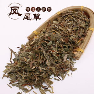 中药材 凤尾草 野生凤尾草 凤尾七 鸡爪草 阉鸡尾 金鸡尾 包邮