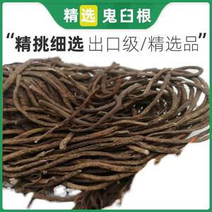 鬼臼根 中药材鬼臼根 100克包邮另有鬼臼果出售