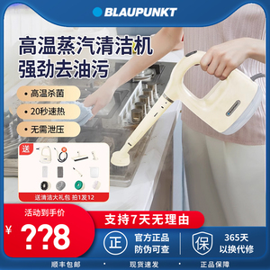 蓝宝高温高压蒸汽清洁机家用小型厨房空调家电油烟机清洗机消毒机