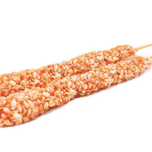 雪花鸡肉串鸡柳串17串油炸小吃鸡肉串商用冷冻半成品小吃雪花鸡肉