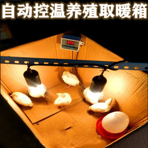 小鸡育雏箱小鸡保温箱自动控温箱鸭鸽子鹌鹑宠物保温育雏器加温器
