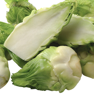 娃娃菜新鲜5斤