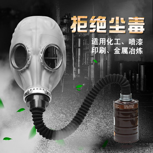 防毒面具全面罩工业化工气体呼吸防护过滤式专用头罩防尘喷漆农药