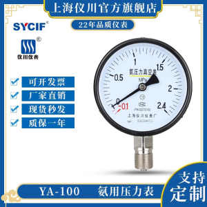 上海仪川氨气压力表 氨用压力表 压力真空 负压正压-0.1-2.4MPa