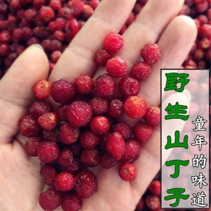 大野生山荆子果