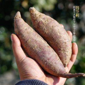 200人付款淘宝日本进口零食夹心威化饼干奶油味安纳芋红薯波路梦期间