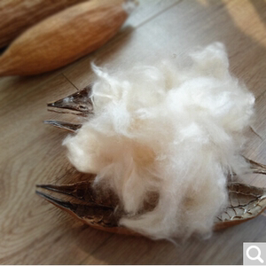 天然优质棉花