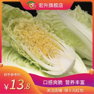 宏升银丝王广东白菜脆嫩青菜小白菜新鲜蔬菜娃娃菜宝宝菜时令蔬菜
