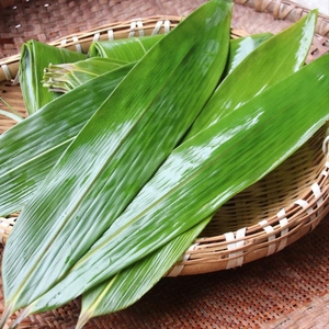 粽叶新鲜免邮大粽子叶野生纯天然芦苇农家现摘箬芒竹叶特级100片