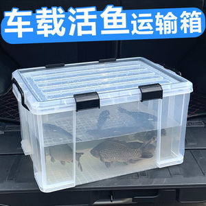 户外车载后备箱活鱼运输水箱长方形密封条收纳钓鱼箱养鱼周转箱厚