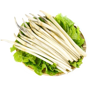 藕尖新鲜现挖野生