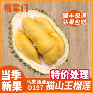 【特价果】猫山王榴莲D197马来西亚进口液氮冷冻新鲜水果顺丰包邮
