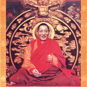 密宗上师画像法王如意宝佛像唐卡藏式挂画晋美彭措法衣照相片纪念