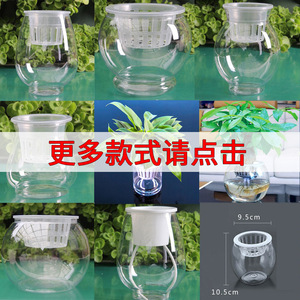 透明水培塑料花瓶绿萝水生植物植物容器室内桌面摆放花盆多个大小