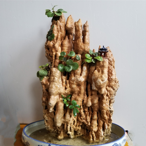 大型天然吸水石原石上水石庭院鱼池假山流水摆件花园造景山石盆景