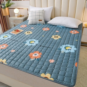 农村铺炕的炕垫单双人防滑保护垫床褥子可机洗秋季薄款床垫子家用