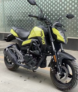 进口春风狒狒nk150小怪兽小猴子迷你小暴龙125大公仔街车摩托车