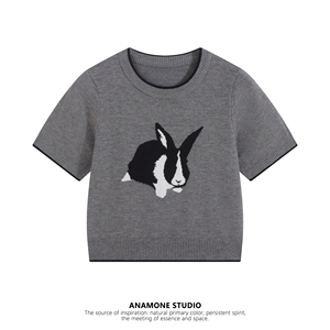 ANAMONE 甜辣兔子短袖针织衫毛衣女春夏新款设计感小众童趣短上衣