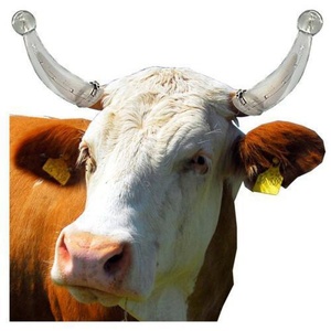 牛角套 防顶 加厚大号畜牧防撞器 箍牛角套牛犄角保护套