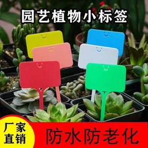 植物标签园艺防水花卉花盆多肉水果标识防水塑料记号卡插地牌标记