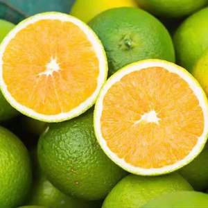 福建当季现摘新鲜冰糖甜青橙五斤大果肚脐橙香甜绿橙