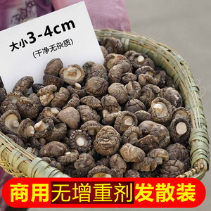 无干燥剂5斤散装包邮农家干香菇干货500g营养菌菇小蘑菇商用花菇