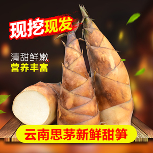 云南思茅甜笋竹笋新鲜现挖竹笋4斤云南特产甜竹笋新鲜脆嫩甜竹笋