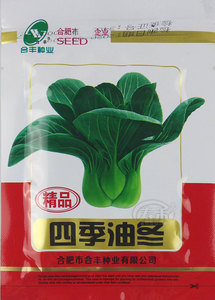 杭州油冬儿种子种籽蔬菜孑菜籽菜种四季籽种小青菜冬季油菜冬菜