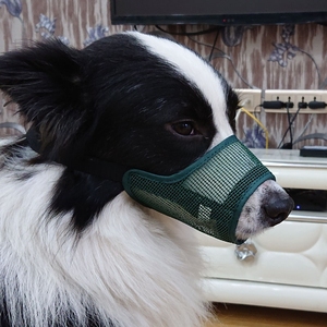 狗狗防咬口罩透气
