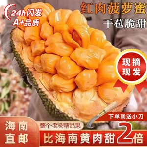 【商超严选】海南红肉菠萝蜜一整个孕妇水果新鲜包邮当季热带水果