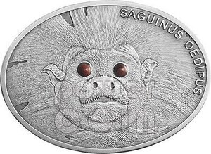 笑堂全新斐济2013年10dollar银币/棉冠狨猴/1盎司999银/发行量999