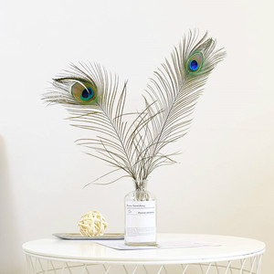 孔雀羽毛摆件客厅装饰标本展示柜家用法式家居饰品天然插花装饰品