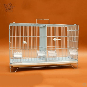 芙蓉鸟繁殖笼包邮