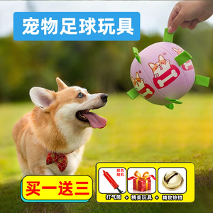 狗狗玩具球宠物耐咬狗玩具训狗专用球宠物磨牙足球柯基解闷神器