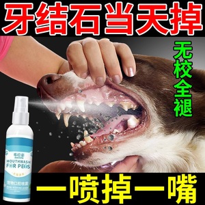 狗狗祛除牙结石去除器泰迪猫除口臭牙齿清洁剂软化宠物口腔喷雾剂