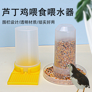 喂用品自动小鸡食盆水器下料器喂喂食器芦丁鸡育雏鹌鹑鹦鹉食槽