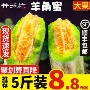 5斤大果山东脆甜羊角蜜甜瓜新鲜牛角酥杨小香瓜头茬10现货一级果