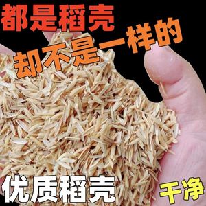 稻壳新鲜谷壳粗糠细米糠鸡鸭鹅宠物芦丁鸡垫料酒枕头芯填充原材料