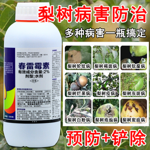 梨树锈病专用药春雷雷霉素毒素杀菌剂轮纹病黑星病果树专用农药