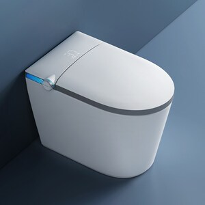 金牌卫浴智能马桶