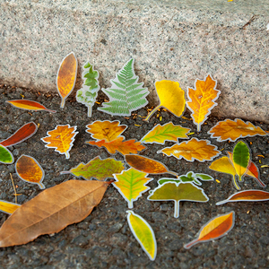 8款秋天双材质贴纸包浪漫枫叶落树叶diy成长册手帐装饰素材贴画