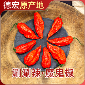 正品新鲜魔鬼辣椒500g印度巨辣超特辣应季云南涮涮辣变态辣象鼻辣