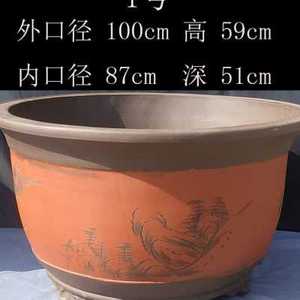 陶瓷罗汉松花盆特大