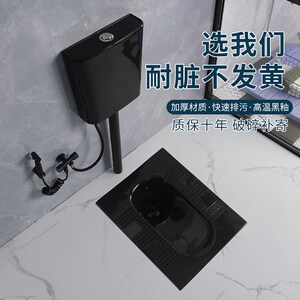 日丰官方黑色蹲便器家用防臭蹲坑式冲水箱套装陶瓷便盆带存水弯卫